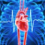 Eat More Saturated Fat. Lower Your Cholesterol. Improve Your Weight and Heart Health - Weight Loss 