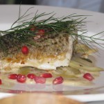 Silver Cloud Dieter Reports On Her First Week on the Program