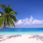 Green Chefs Empower the Next Generation to Preserve Blue Oceans