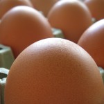 Food And Drug Advisory: Safety With Egg Preparation
