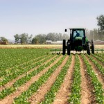 What Makes The Silver Cloud Diet Sustainable?