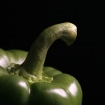 Fresh Salsas from a Family Farm for a Healthy Treat