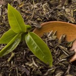 Green Tea Protects Against Weight Gain in Mice