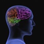 Phosphatidylserine -  The Essential Brain Nutrient