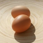 A Sustainable Diet. Dr. Salerno's Food For Thought
