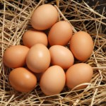 Eggs: The Superfood We Adore