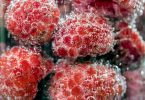 Cancer-Fighting Foods