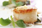 Seared Scallops with Gremolata Recipe